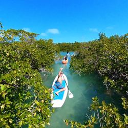 Sunset Watersports - Paddleboard tour in key west