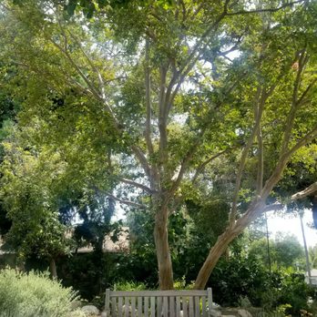 Pasadena Public Library - Lamanda - Aug 7, 2019 Lamanda Park public library - Libraries Near Me - Pasadena, California