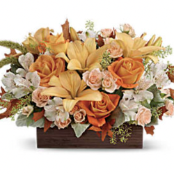 Flowers Of Marietta