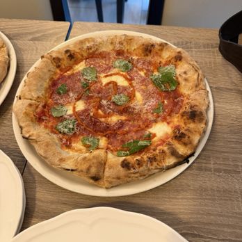 L'Amorino - Italian Near Me - Tampa, Florida