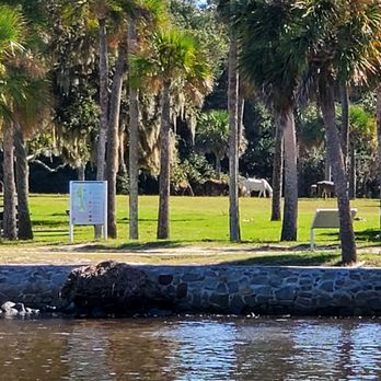 Amelia Island Charters - Boat Charters Near Me - Fernandina Beach, Florida