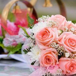 Floreria Primavera