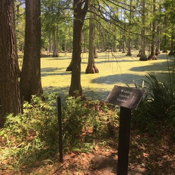Cypress Gardens - Parks Near Me - Moncks Corner, South Carolina Cypress Gardens - Parks Near Me - Moncks Corner, South Carolina
