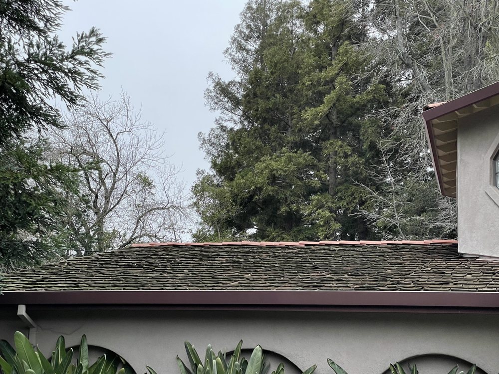 Slide of Roofing Medic