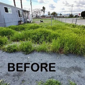 Your Lawn Girl - Lawn Services Near Me Your Lawn Girl - Lawn Services Near Me