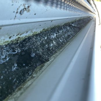 Cabrera’s Window Cleaning - Gutter Before - Gutter Services Near Me Cabrera’s Window Cleaning - Gutter Before - Gutter Services Near Me