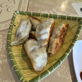 Dumpling World - Braised pork potstickers - Chinese Near Me - Sugar Land, Texas Dumpling World - Braised pork potstickers - Chinese Near Me - Sugar Land, Texas