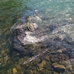 Upper Rogue Regional County Park