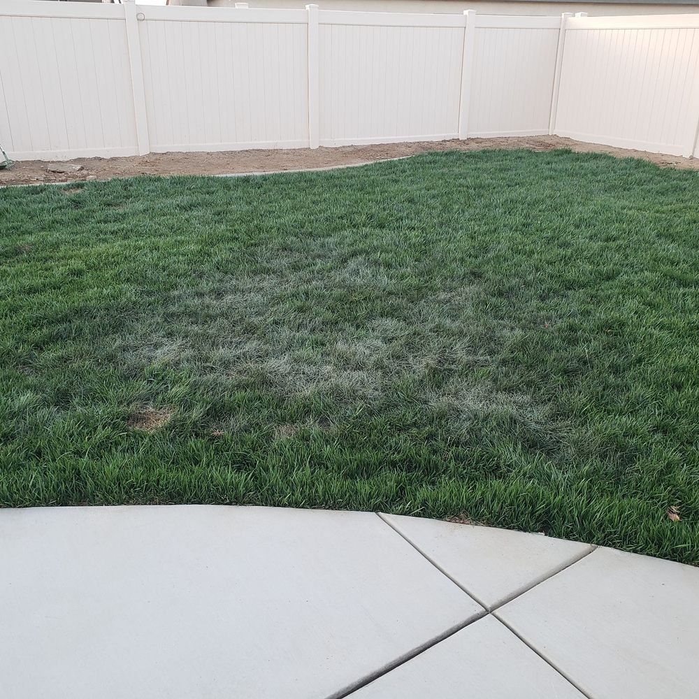 Kontiki Construction - a yard with a white fence and green grass - General Contractors Near Me Kontiki Construction - a yard with a white fence and green grass - General Contractors Near Me