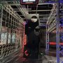 Xtreme Ninja Challenge