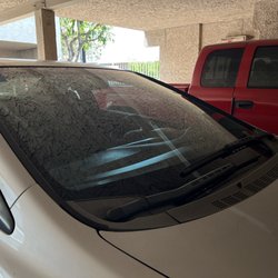 Blue's Auto Glass