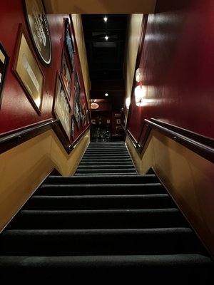 Rosie McCann's Irish Pub & Restaurant by null