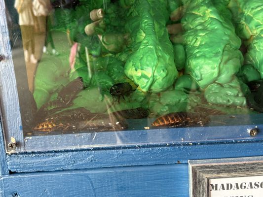 Michigan State Fair by null