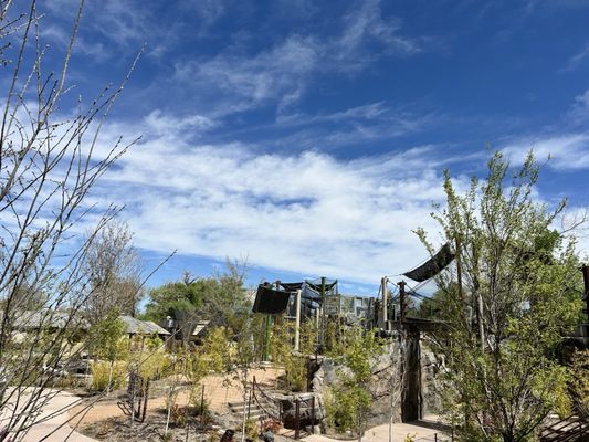 ABQ BioPark Zoo by null