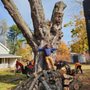 Photo of Maine Arborworks