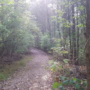 The Trails - Hiking Near Me - Nashville, Tennessee The Trails - Hiking Near Me - Nashville, Tennessee
