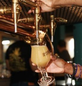 Biscayne Bay Brewing Company by null