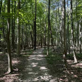 The West Woods - Parks Near Me - Novelty, Ohio The West Woods - Parks Near Me - Novelty, Ohio