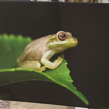 Wow Wall Art - Art Galleries Near Me - Plantation, Florida Wow Wall Art - Art Galleries Near Me - Plantation, Florida