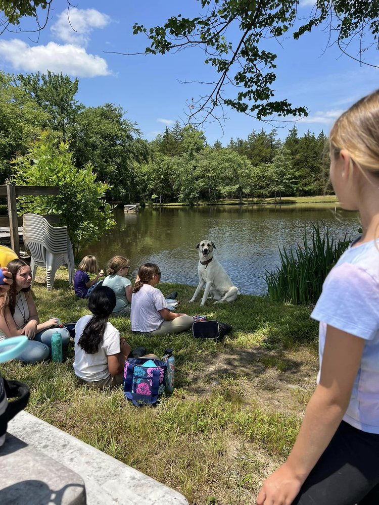 Double C Ranch - equestrian in Charlottesville , VA
