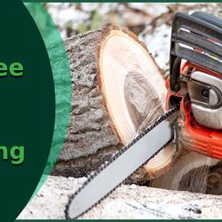 Snyder's Tree Service and Landscaping