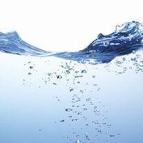 Slide of E.R. Lighty