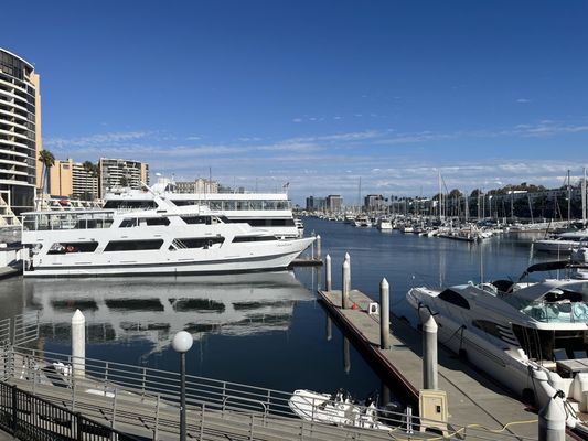 Killer Shrimp by null