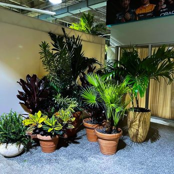 Green Affairs - Party Equipment Rentals Near Me Green Affairs - Party Equipment Rentals Near Me