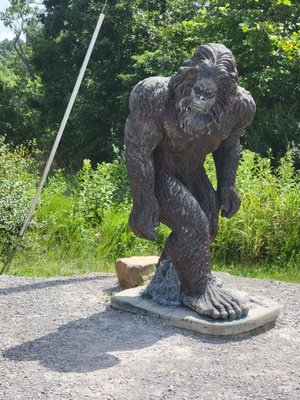 Shawnee National Forest by null