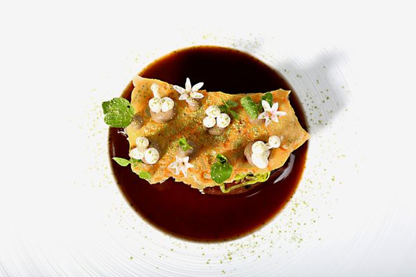 Ecco St. Moritz by null