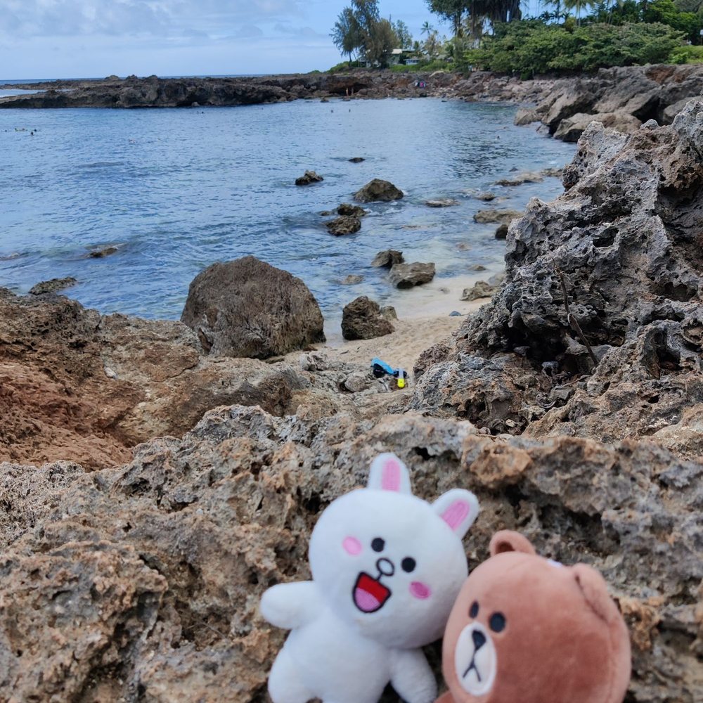 Pupukea Beach Park - 5-12-22 turned out to be a beautiful day! - Parks Near Me - Haleiwa, Hawaii