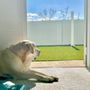Photo of Our Dog House in Argyle