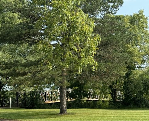 George George Memorial Park by null