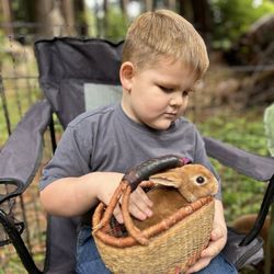 Hunny Bunny Mobile Petting Zoo