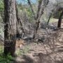 Photo of Matthews/Winters-Dakota Ridge Trail