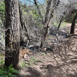 Matthews/Winters-Dakota Ridge Trail