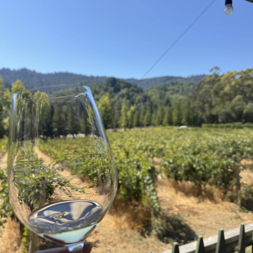 Martin Ranch Winery - Wineries Near Me - Gilroy, California