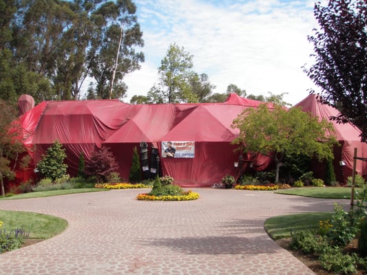 THRASHER TERMITE & PEST CONTROL - Updated January 2025 - 27 Photos