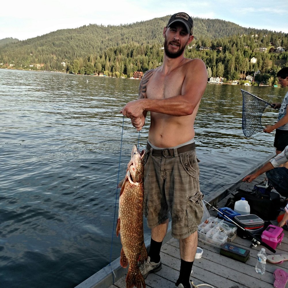 Caught this nice northern pike (36in) on the dock here at honeysuckle beach. Great small mouth fishing as well.