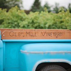 Old Mill Vineyard