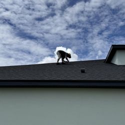 Sure Seal Roof Solutions