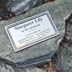 Stargazer Lily Sculpture - Stargazer Lily Sculpture, Shelbyville