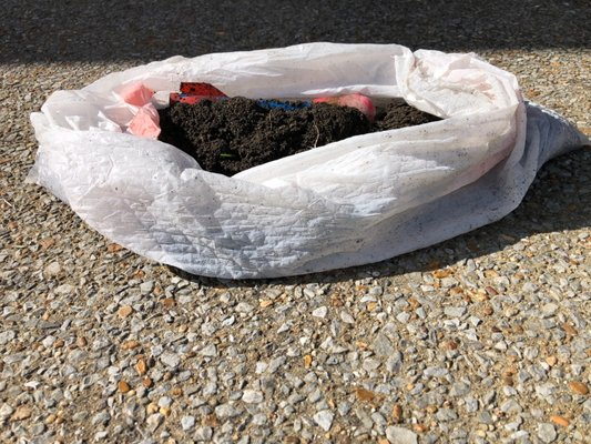 APS WINDOW & GUTTER CLEANING - Updated January 2025 - 29 Reviews