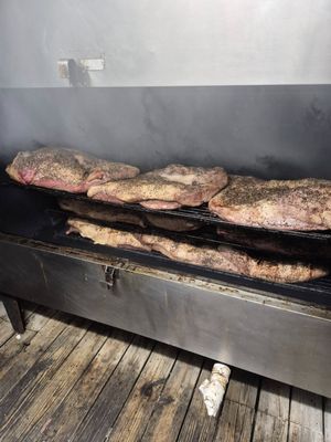 The Surfing Pig by null