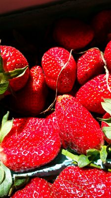 Mount Pleasant Farmers Market by null