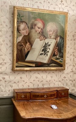 The Linnaeus Museum by null