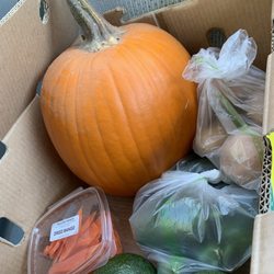 Pala Rey Produce - Produce