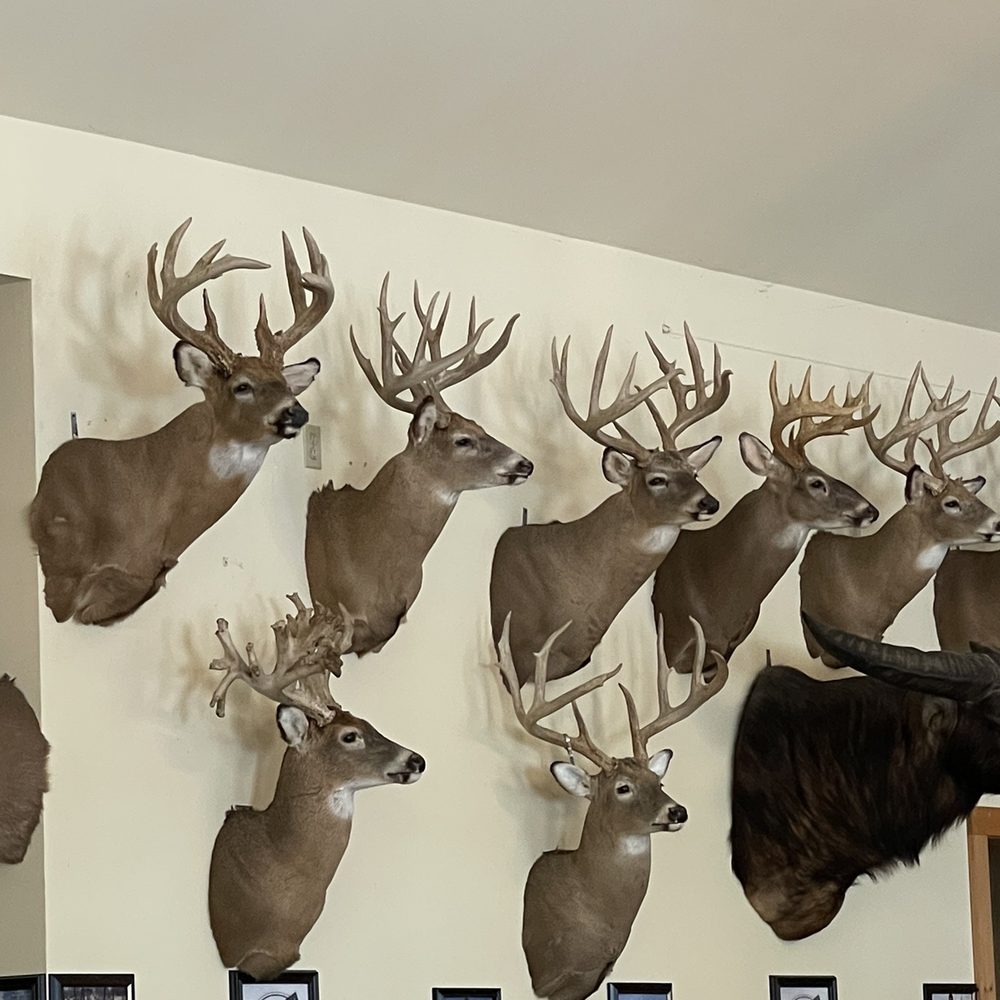 Pub 199 - There's more deer!! - Steakhouses Near Me - Mount Arlington, New Jersey Pub 199 - There's more deer!! - Steakhouses Near Me - Mount Arlington, New Jersey