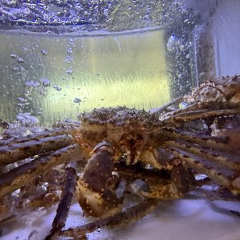 Cervejaria Ramiro - Seafood Near Me - Lisbon, 11
