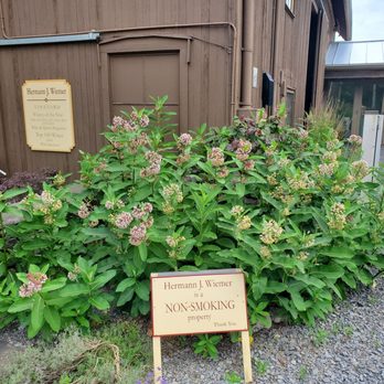 Hermann J. Wiemer Vineyard - Wineries Near Me - Dundee, New York Hermann J. Wiemer Vineyard - Wineries Near Me - Dundee, New York